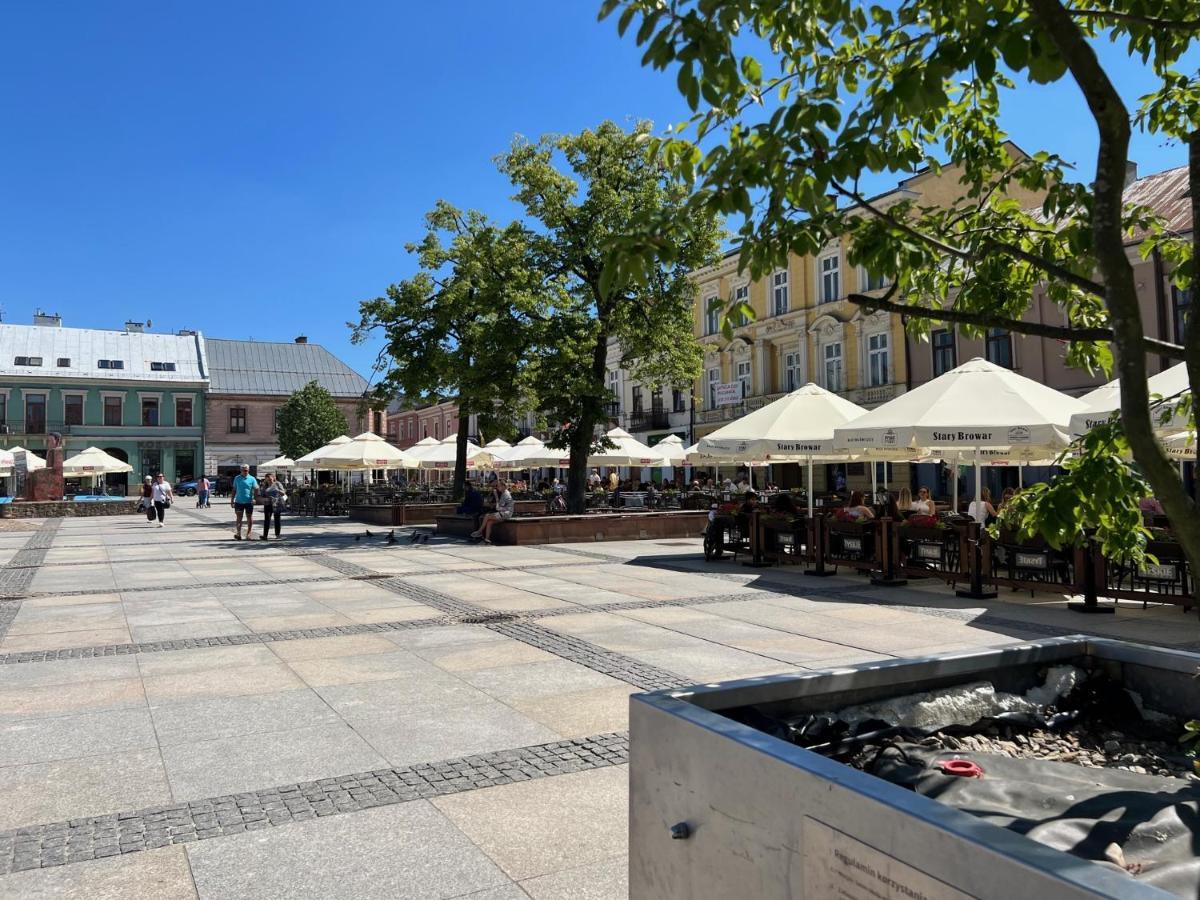 Family & Business Sauna Apartments Sienkiewicza No1 Centrum Plac Lliteratow- Piekny Apartament - 1 Bedroom With Private Sauna, Bath With Hydromassage, Parking Кельце Экстерьер фото